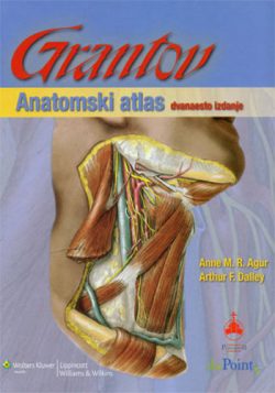 knjizara odisej valjevo grantov anatomski atlas anne m r agur